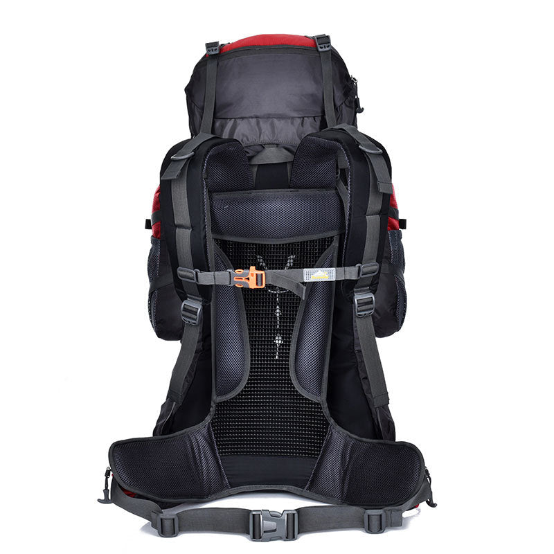 Professional Mountaineering Package 80L85L Outdoor Backpack Travel Hiking Outdoors Camping Donkey Tents Bag